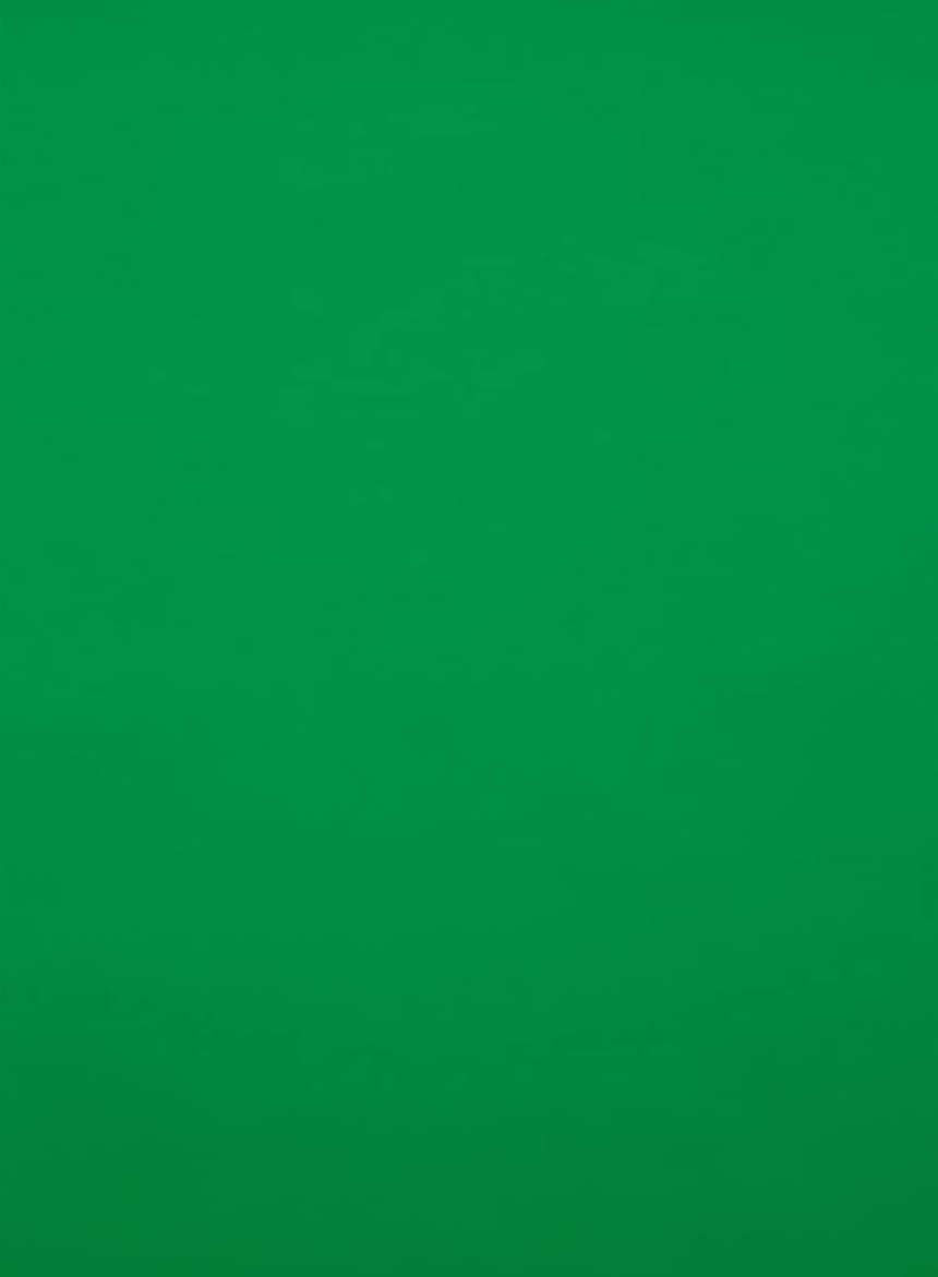 Kate Whiskey Green Seamless Paper Backdrop for Photography -UK