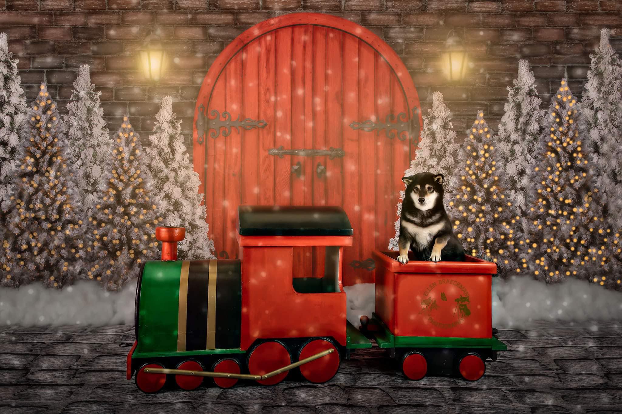 Kate Christmas Red Door Backdrop Designed By JS Photography -UK