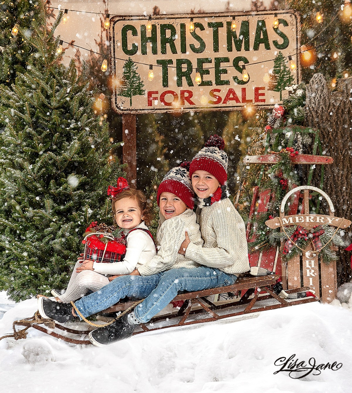 Kate Christmas Trees Backdrop for Photography Designed By JS Photography -UK