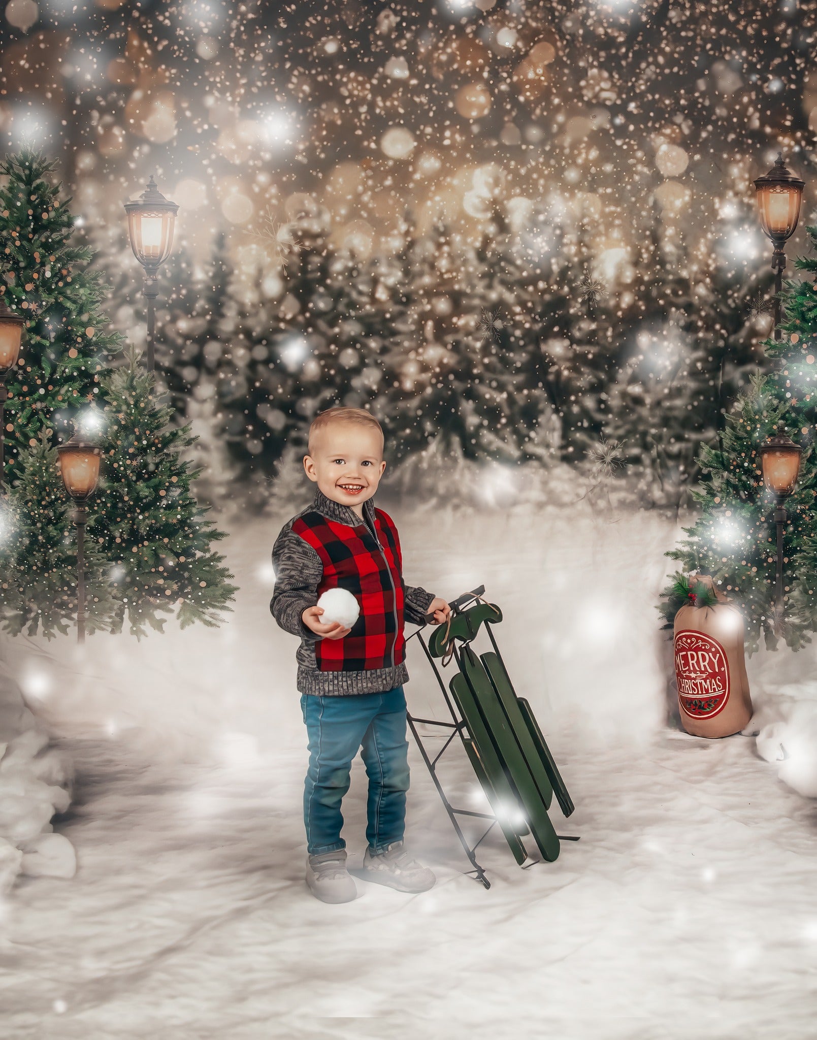 Kate Christmas Snow Forest Lights Backdrop for Photography -UK