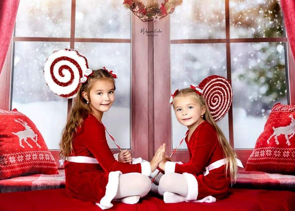 Kate Christmas Snow And Sunshine Outside Window Backdrops for Photography -UK