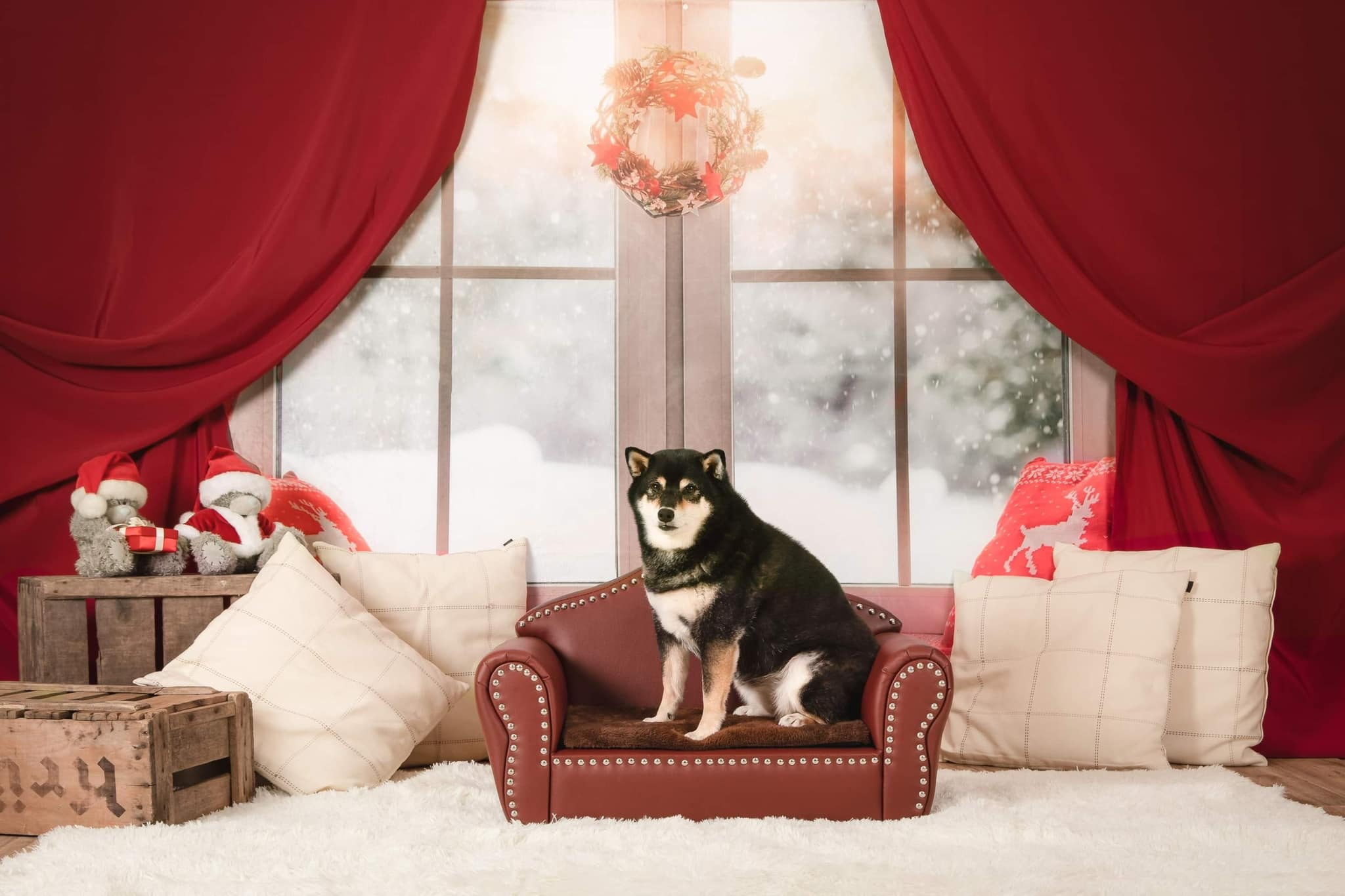 Kate Christmas Snow And Sunshine Outside Window Backdrops for Photography -UK