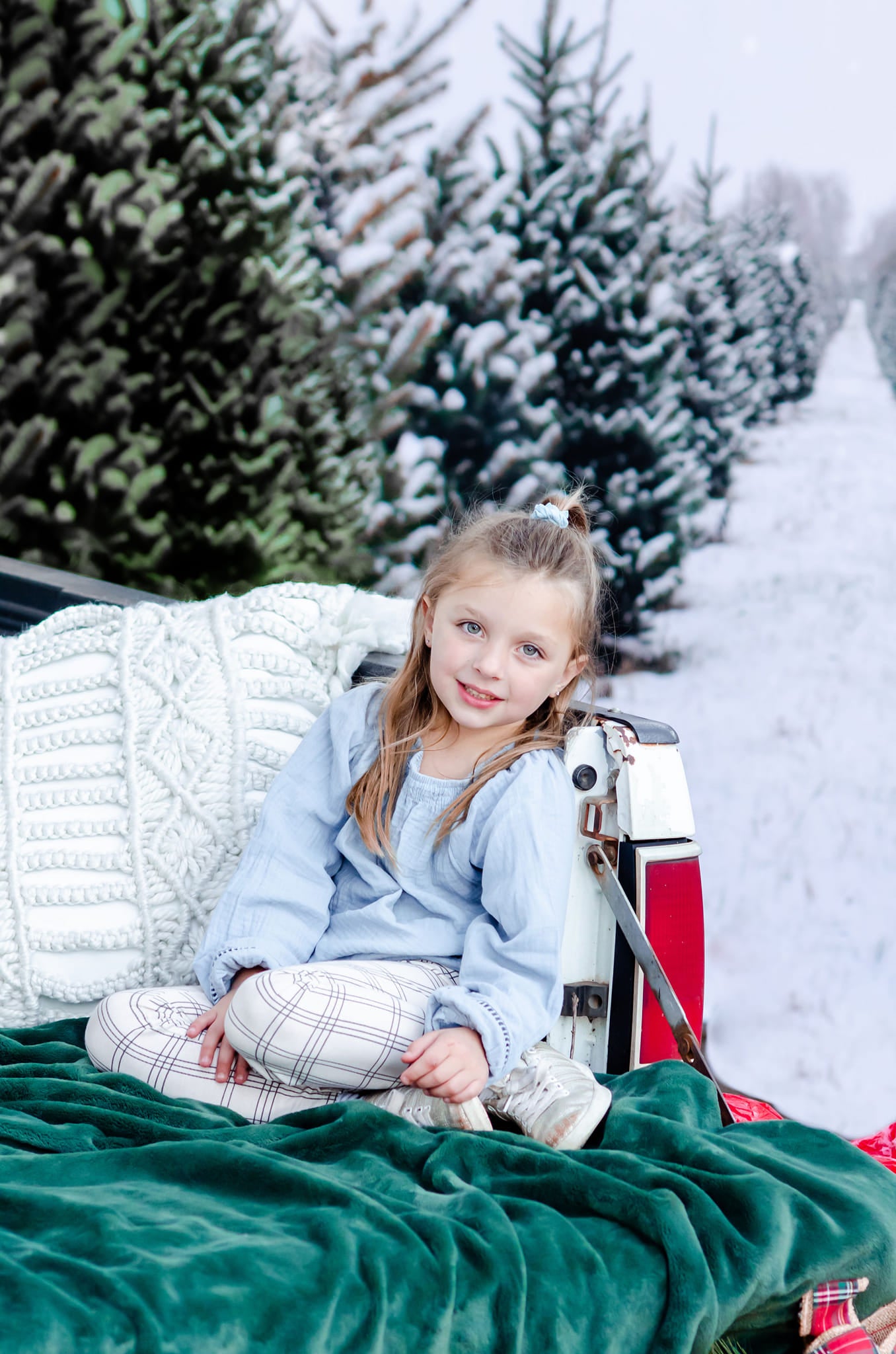 Kate Christmas Pines Tree Farm Path Backdrop for Photography -UK