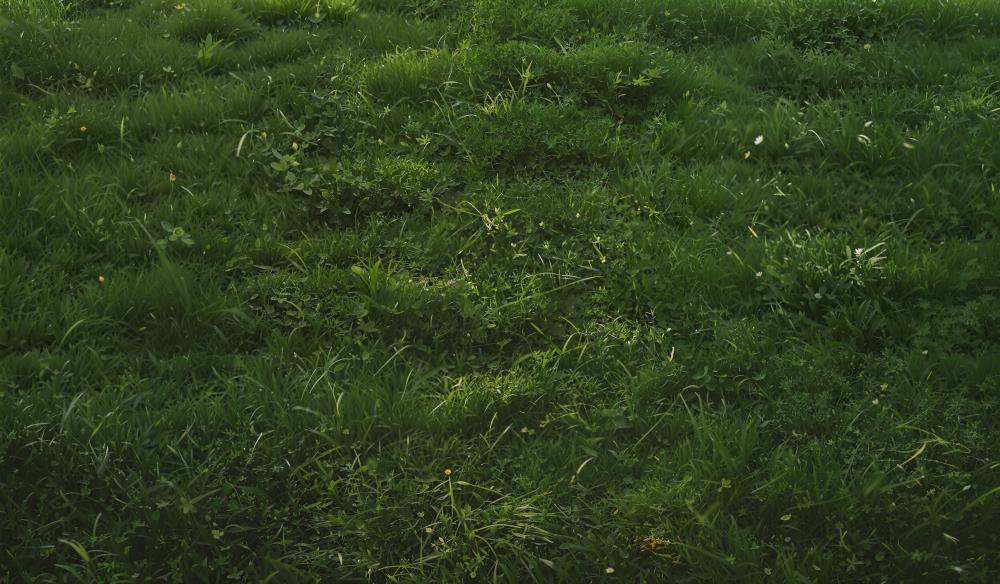 Kate Dark Green Grass Rubber Floor Mat -UK