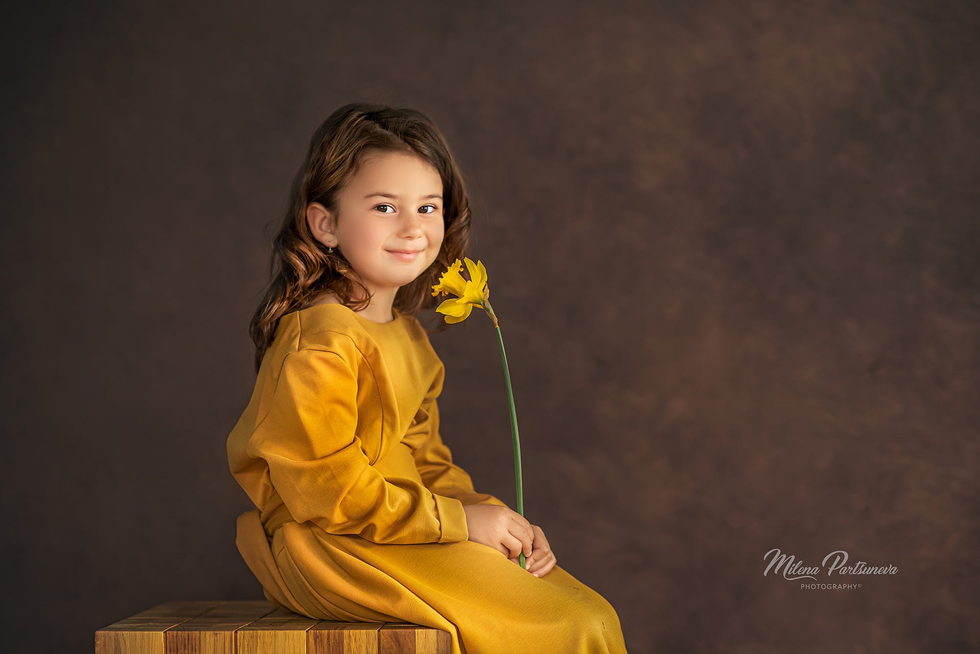 Kate Sepia Abstract Brown Textured Backdrop for photography