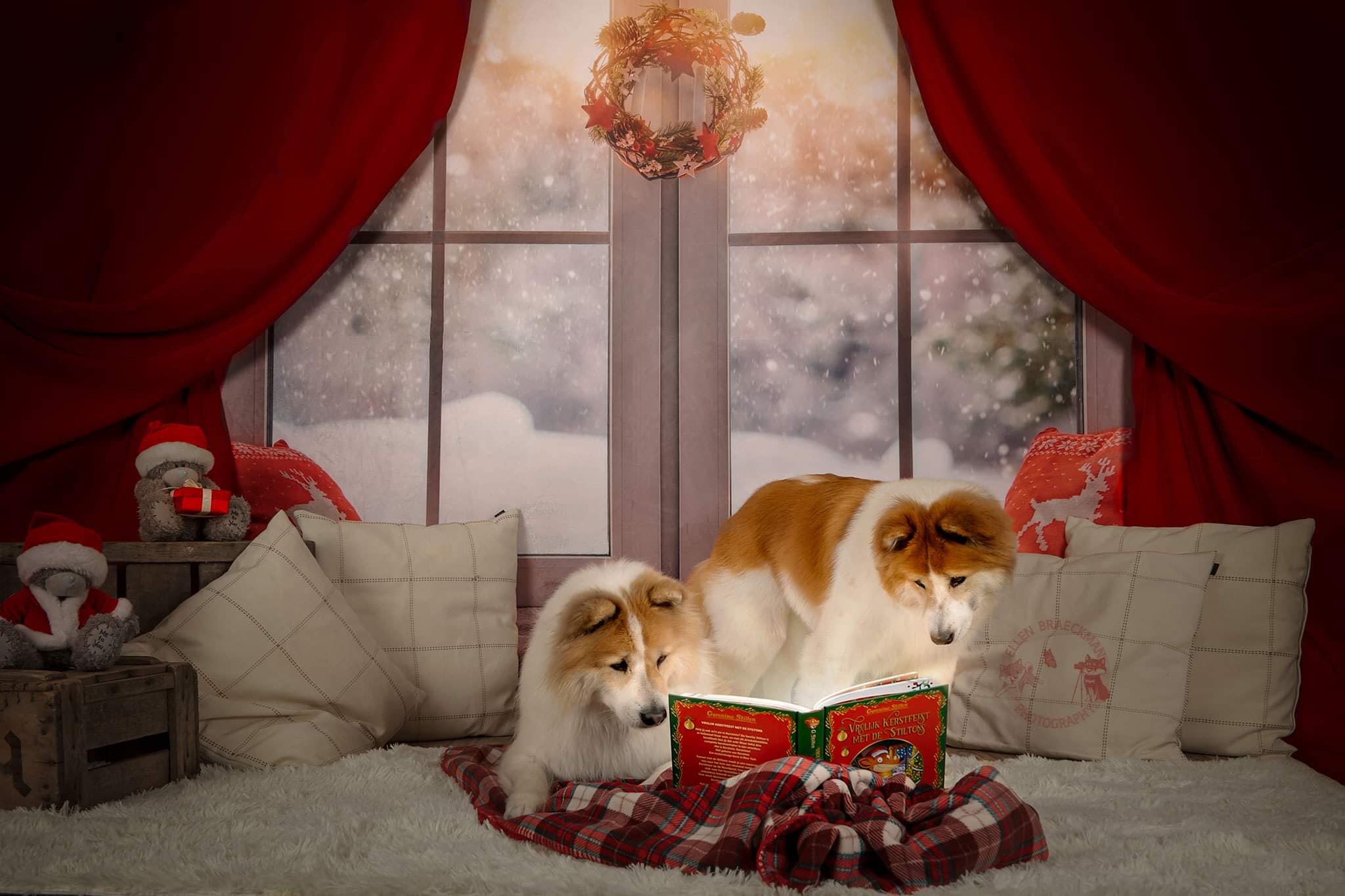 Kate Christmas Snow And Sunshine Outside Window Backdrops for Photography -UK