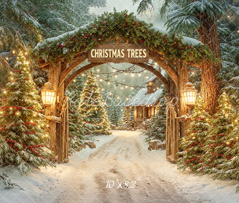 Kate Christmas Archway Snowy Trees Lanterns Fleece Backdrop Designed by Emetselch
