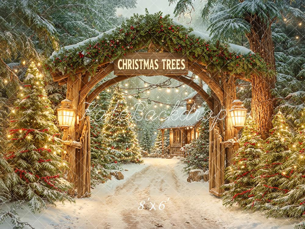 Kate Christmas Arch Snowy Trees Path Backdrop Designed by Emetselch