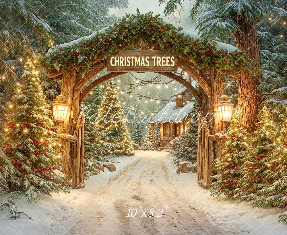 Kate Christmas Arch Snowy Trees Path Backdrop Designed by Emetselch