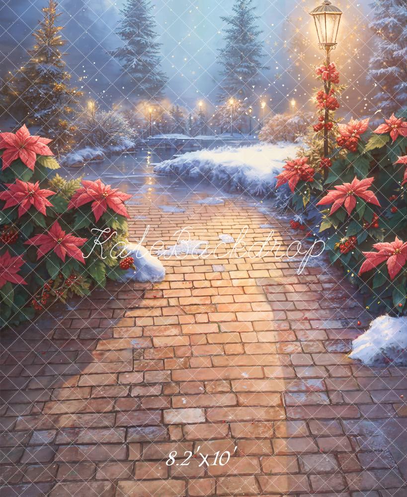 Kate Christmas Snowy Stone Path Poinsettia Lamp Backdrop Designed by Emetselch