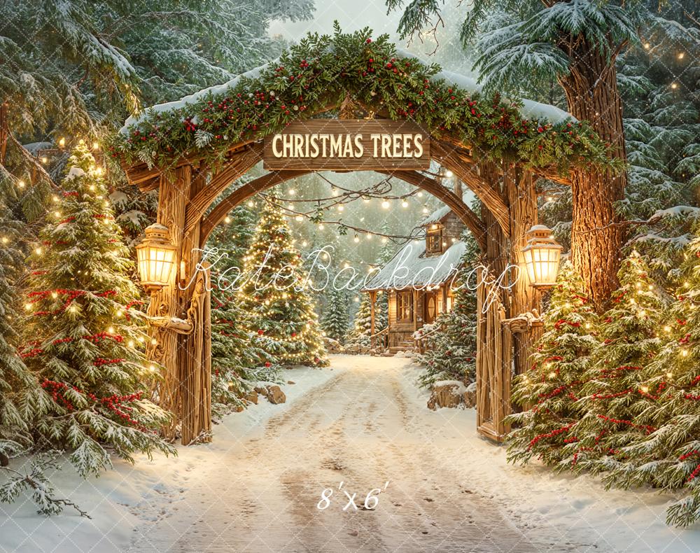 Kate Christmas Archway Snowy Trees Lanterns Fleece Backdrop Designed by Emetselch