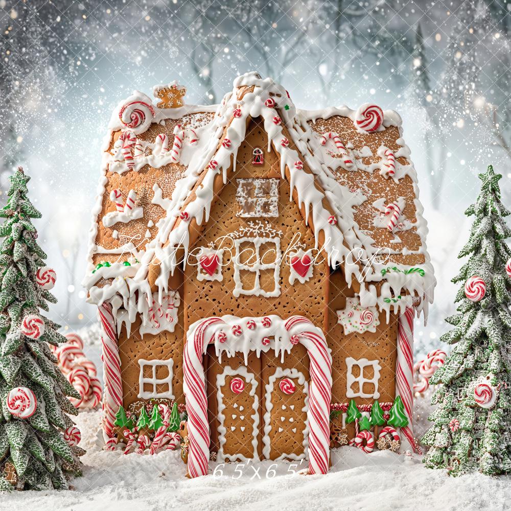 Kate Christmas Gingerbread House Candy Trees Snowy Backdrop Designed by Chain Photography -UK