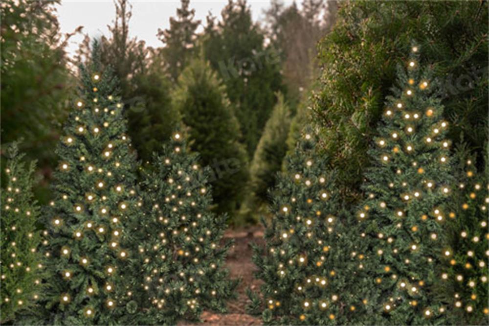 Kate Christmas Trees Forest Backdrop for Photography -UK