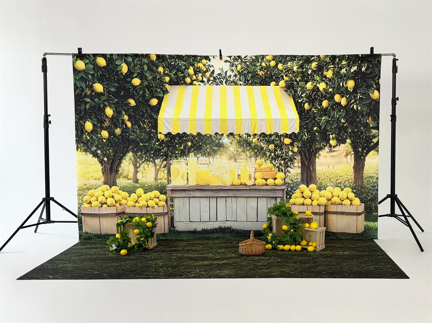 Kate Summer Lemonade Stand Photo Kit -UK