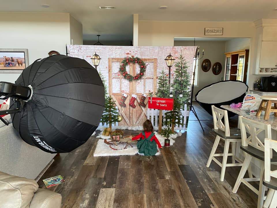 Kate Christmas Winter Snow Fence Door Backdrop Designed by Emetselch -UK