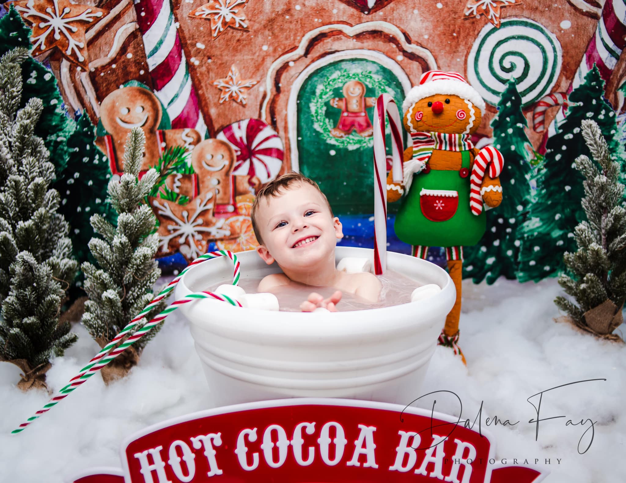 Kate Christmas Backdrop Winter Gingerbread House Designed by GQ -UK