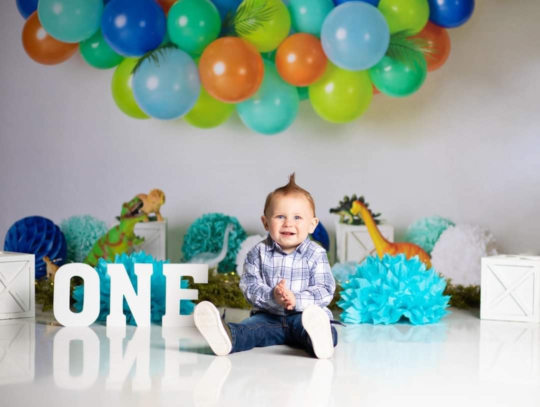 Kate Dinosaur Birthday Balloons Backdrop Designed By Mandy Ringe Photography -UK