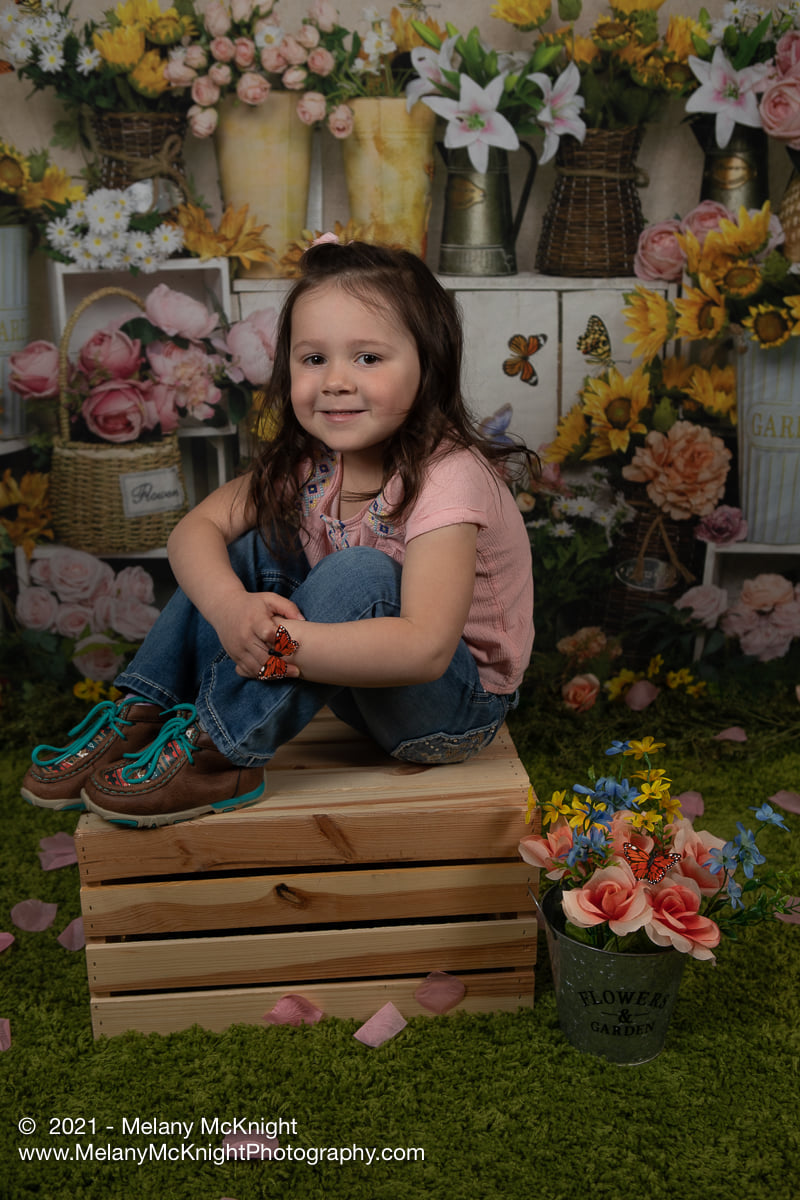 Kate Spring Flowers Butterfly Florist Backdrop Designed by Emetselch -UK