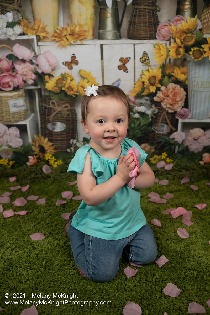 Kate Spring Flowers Butterfly Florist Backdrop Designed by Emetselch -UK