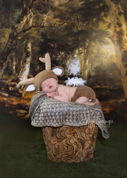 Katebackdrop£ºKate Forest Old Green Trees Scenery Photography Backdrops for Christmas