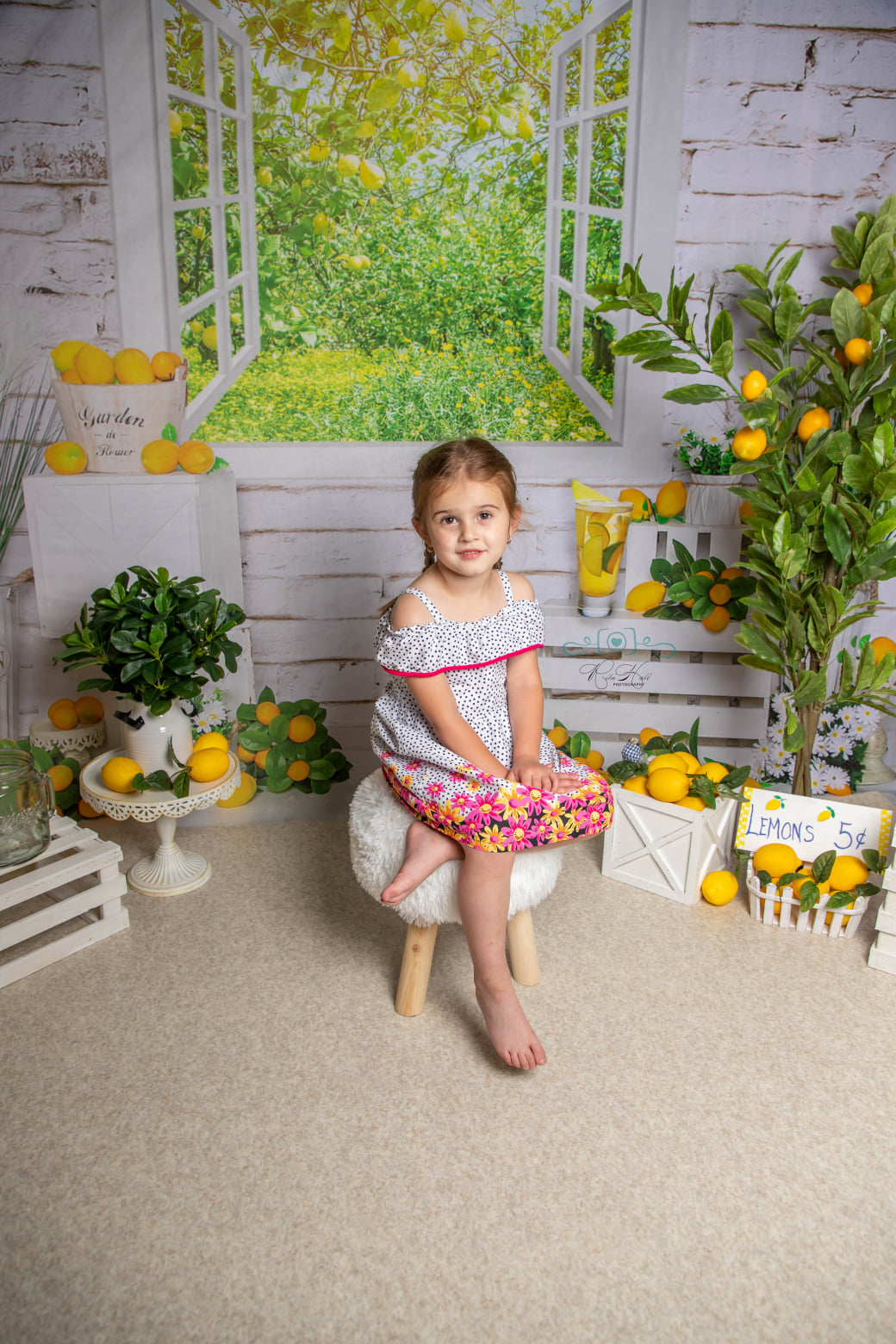 Kate Spring Lemon Room Backdrop Designed by Emetselch -UK