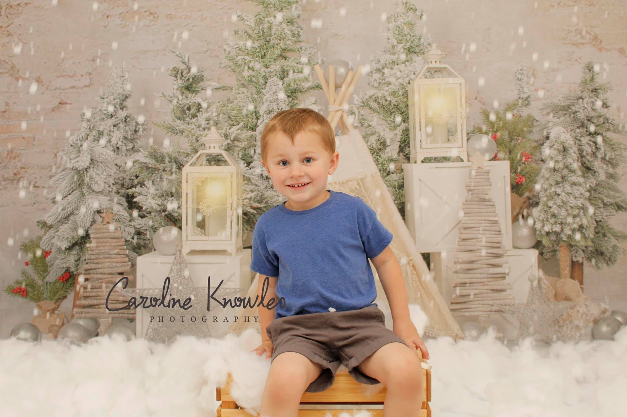 Kate Christmas Trees Tent Backdrop Designed by Emetselch -UK