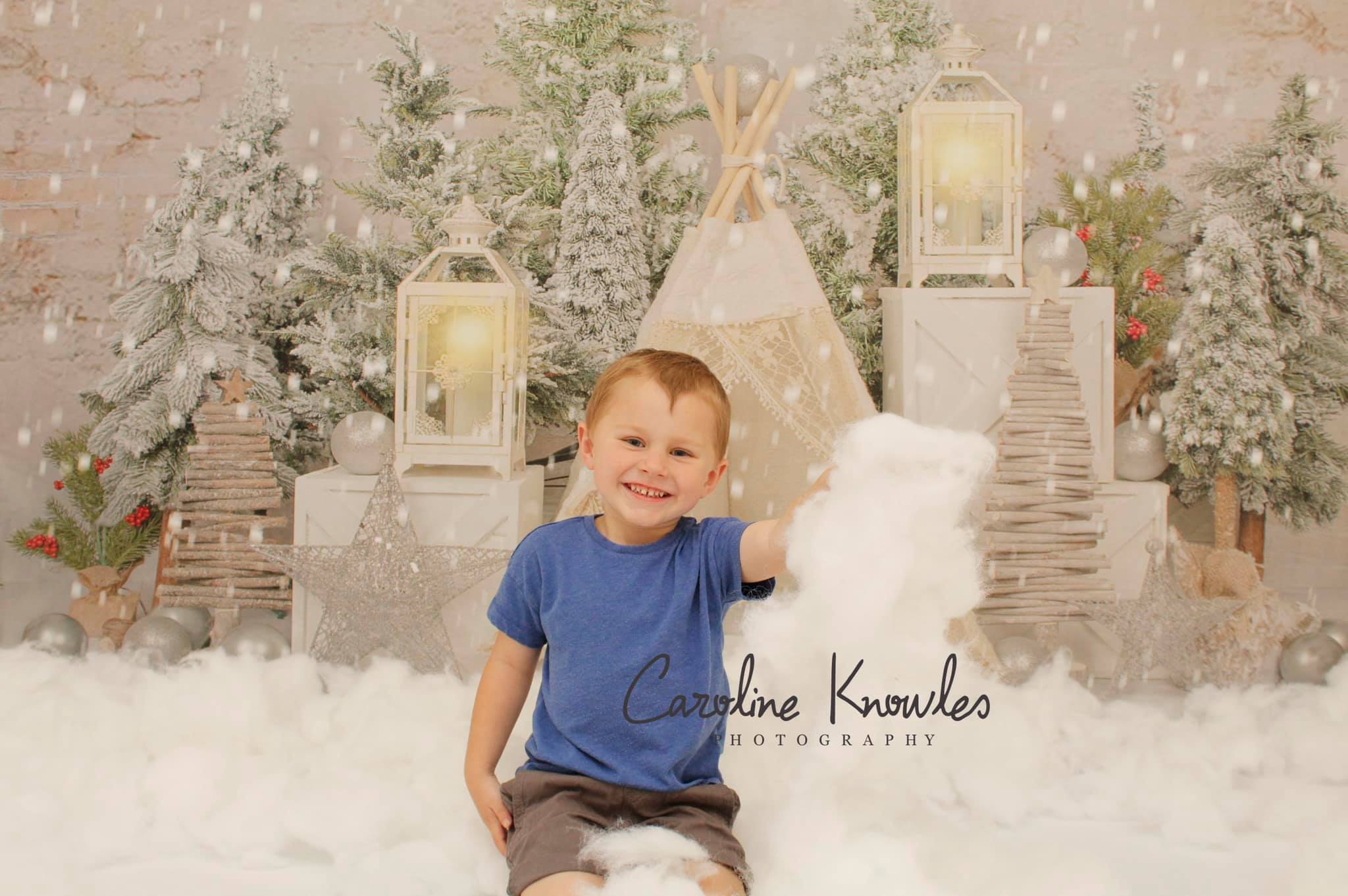 Kate Christmas Trees Tent Backdrop Designed by Emetselch -UK