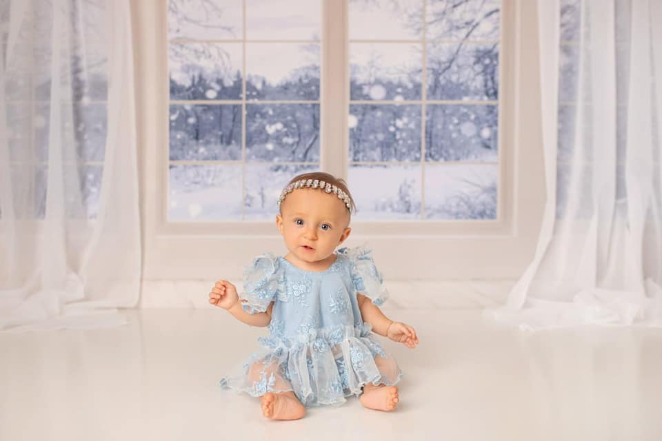 Kate Window Backdrop Winter Snow Garden Designed by Emetselch -UK