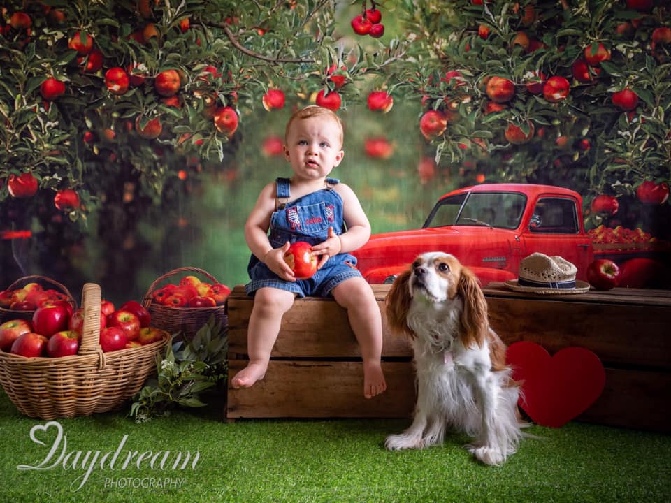 Kate Apple Orchard Red Truck Backdrop Designed by Rosabell Photography -UK