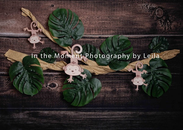 Kate Children Monkey Around Wooden Backdrop