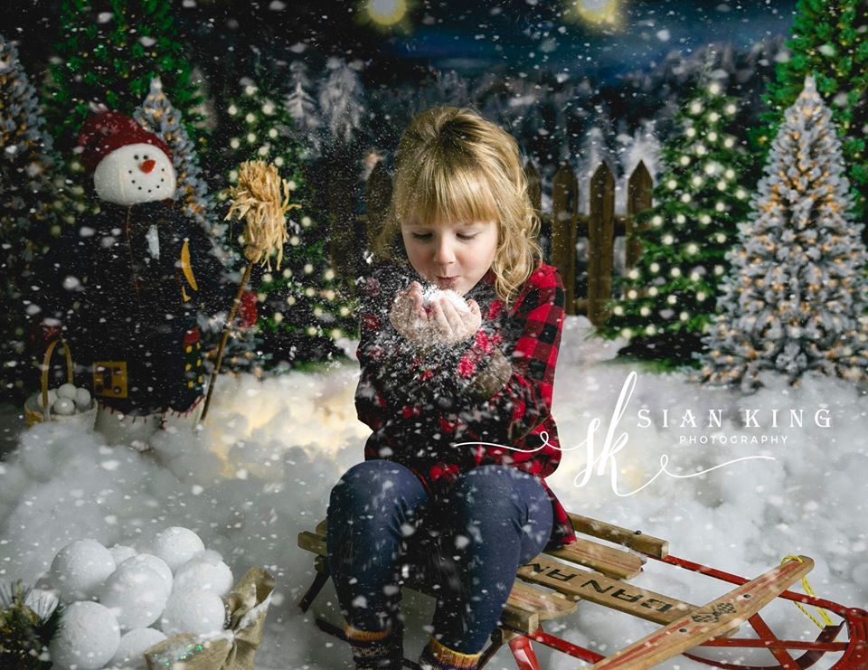 Kate Christmas Night Pine Trees Farm Winter Backdrop Designed By Jerry_Sina -UK
