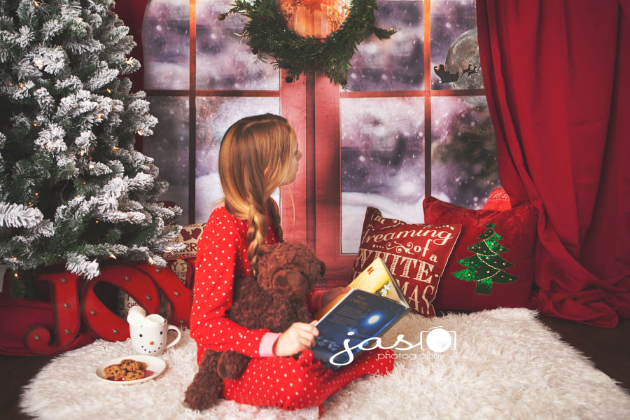 Kate Christmas Snow And Sunshine Outside Window Backdrops for Photography -UK