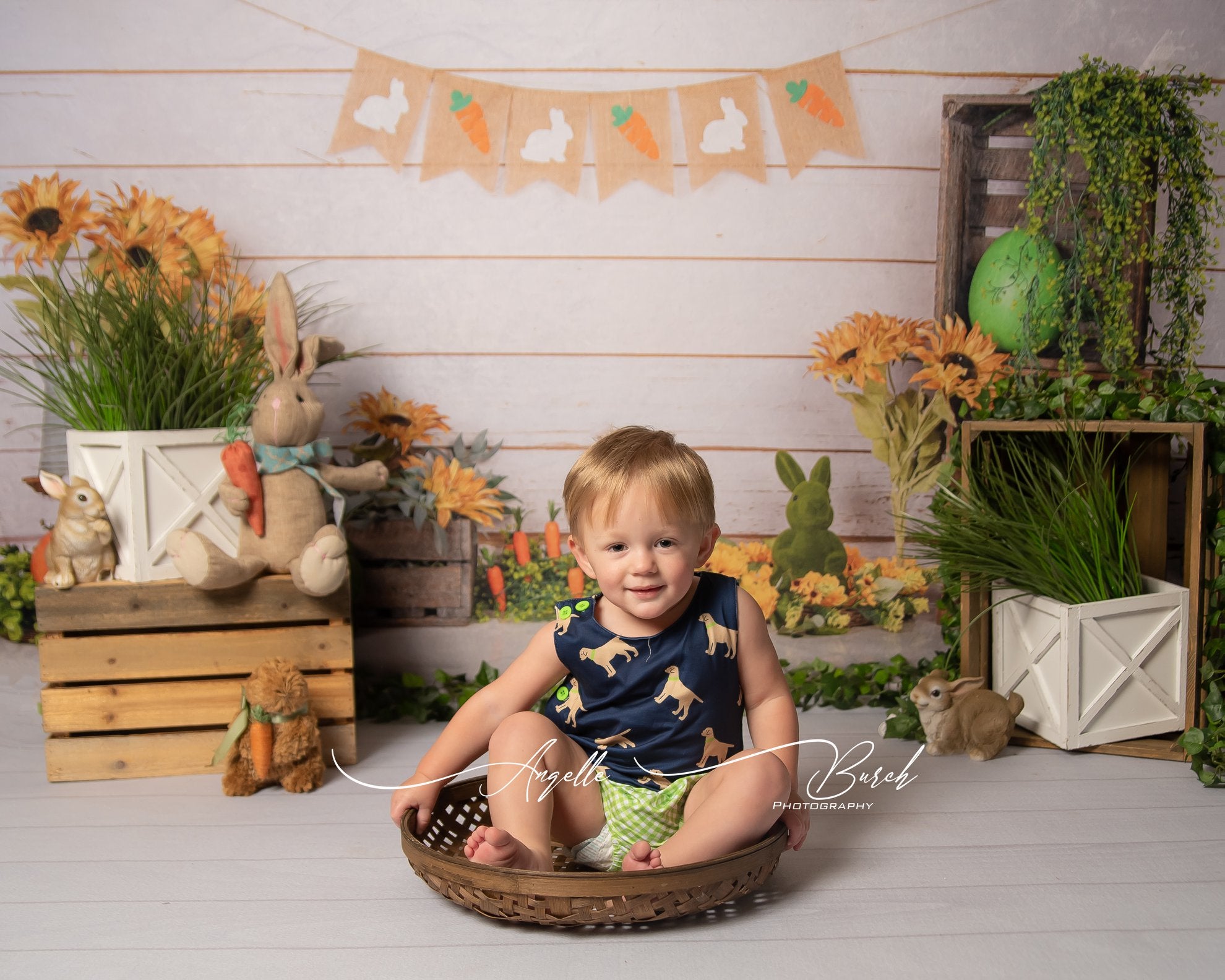 Kate Easter/Spring Sunflowers Carrots Rabbit Wood Wall Backdrop Designed by Jia Chan Photography