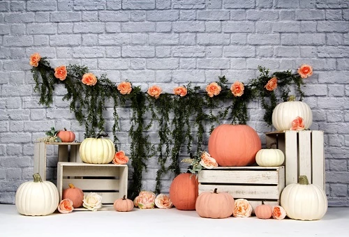 Kate Sweet as Pumpkin Pie 1st Birthday Backdrops Designed by Arica Kirby -UK