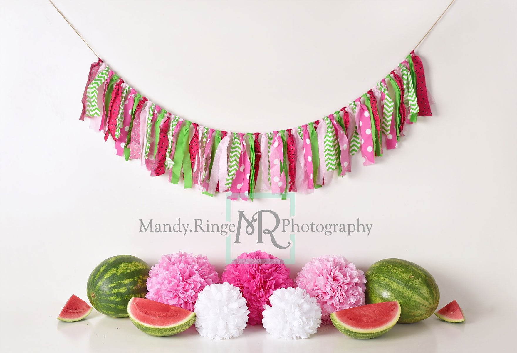 Kate Summer Watermelon Birthday Backdrop Designed by Mandy Ringe Photography -UK