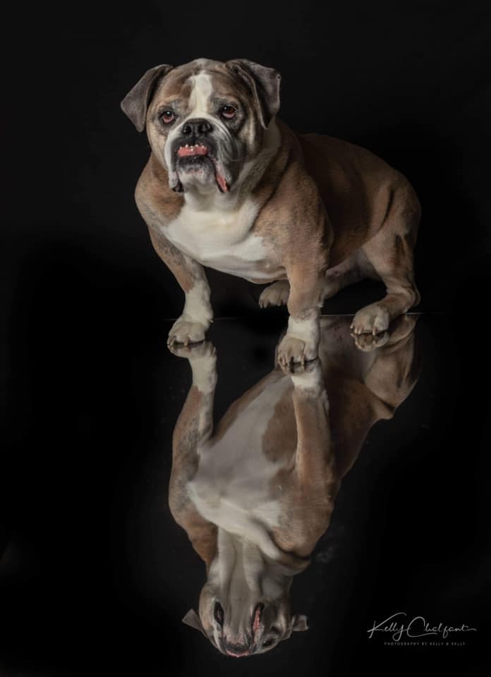 Kate Solid Black Photo Portrait Photography Backdrop for Studio(HGCSB) -UK