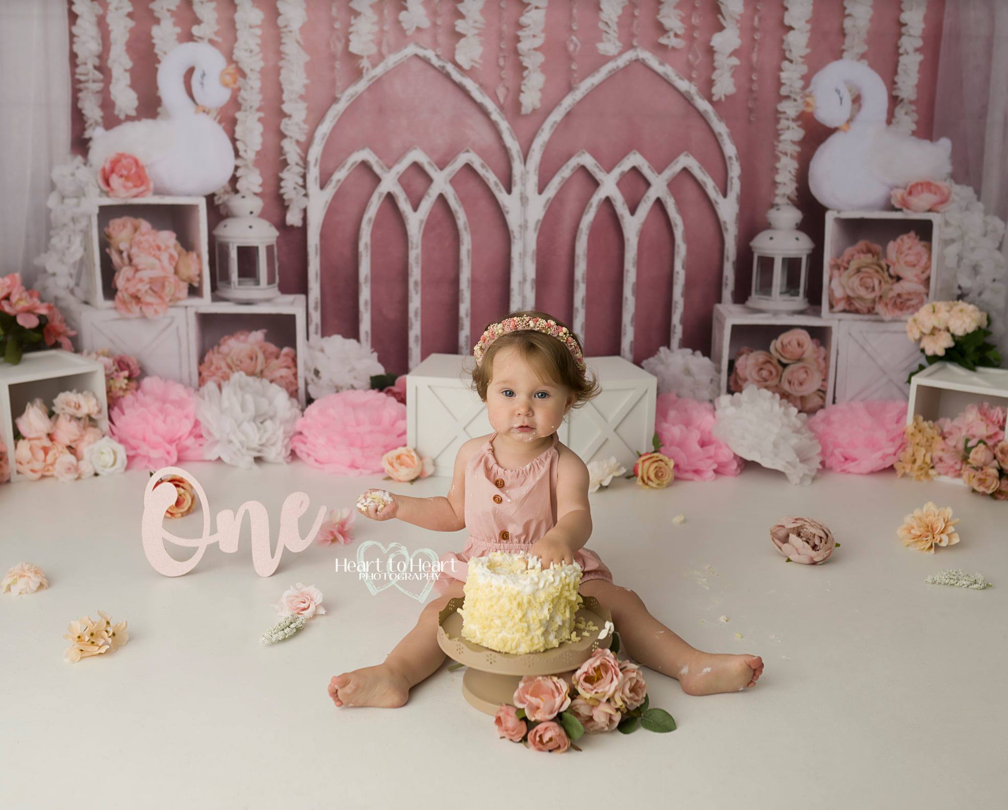 Kate Pink Swan Cake Smash Girly Backdrop for Photography Designed by Lisa B -UK