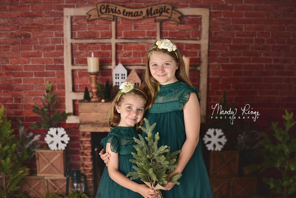 Kate Christmas Magic Brick Backdrop Designed By Mandy Ringe Photography -UK