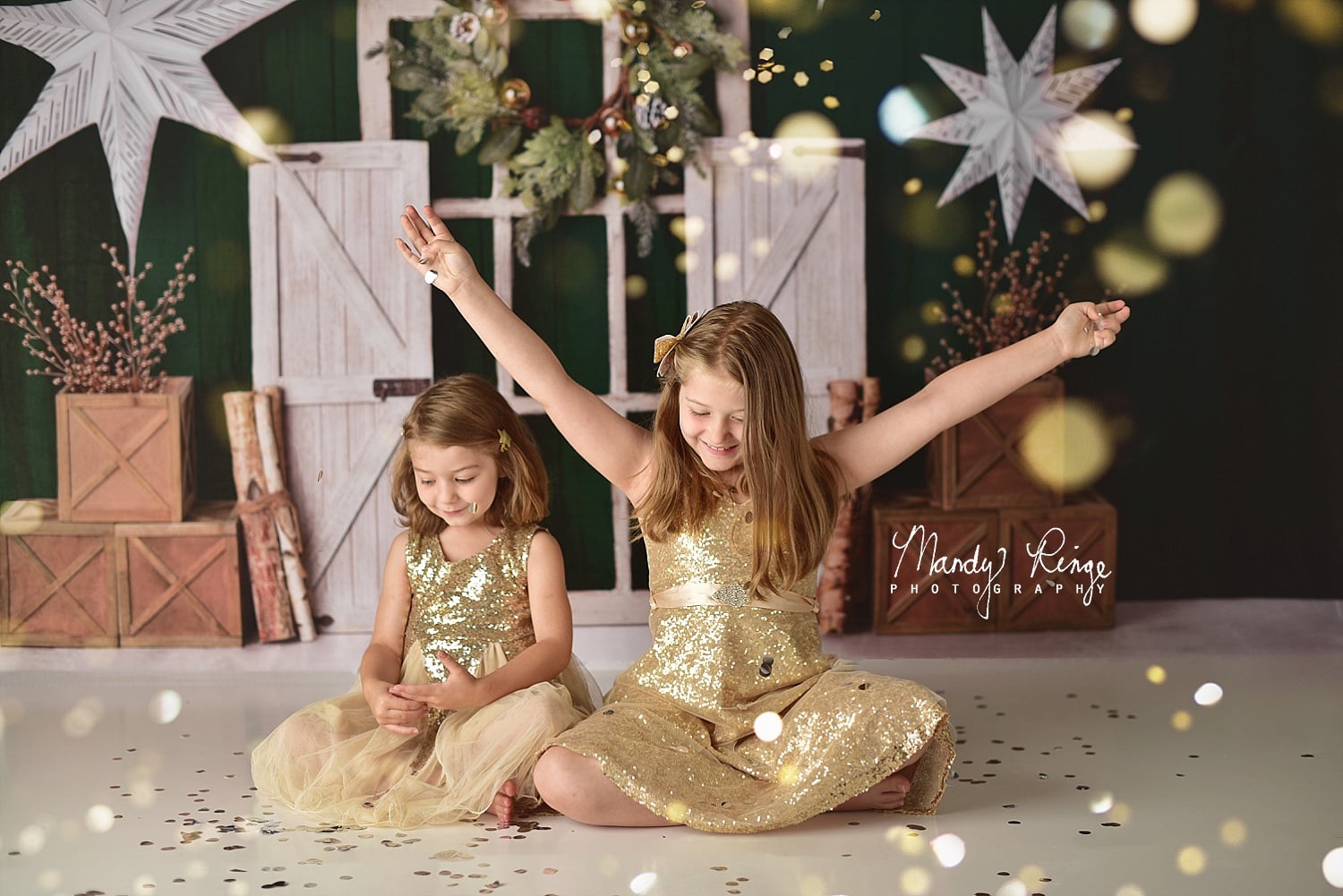 Kate Evergreen Christmas Holiday Backdrop Designed By Mandy Ringe Photography -UK