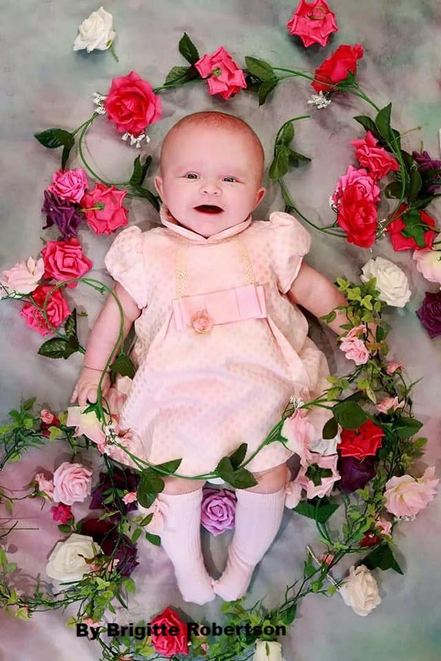 Katebackdrop£ºKate Valentine's Day Pink Flowers Hand Painting Portrait Photography Backdrops