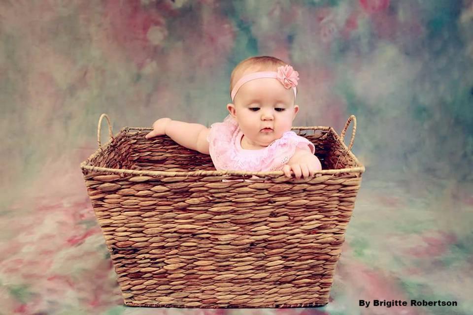 Katebackdrop£ºKate Valentine's Day Pink Flowers Hand Painting Portrait Photography Backdrops