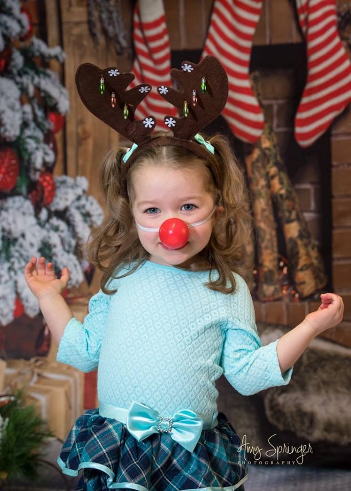 Kate Christmas Backdrop Photo Background Studio Props - Kate backdrop UK