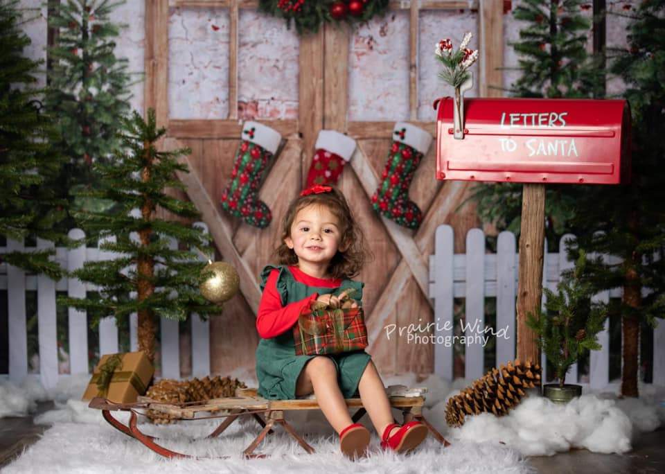 Kate Christmas Winter Snow Fence Door Backdrop Designed by Emetselch -UK
