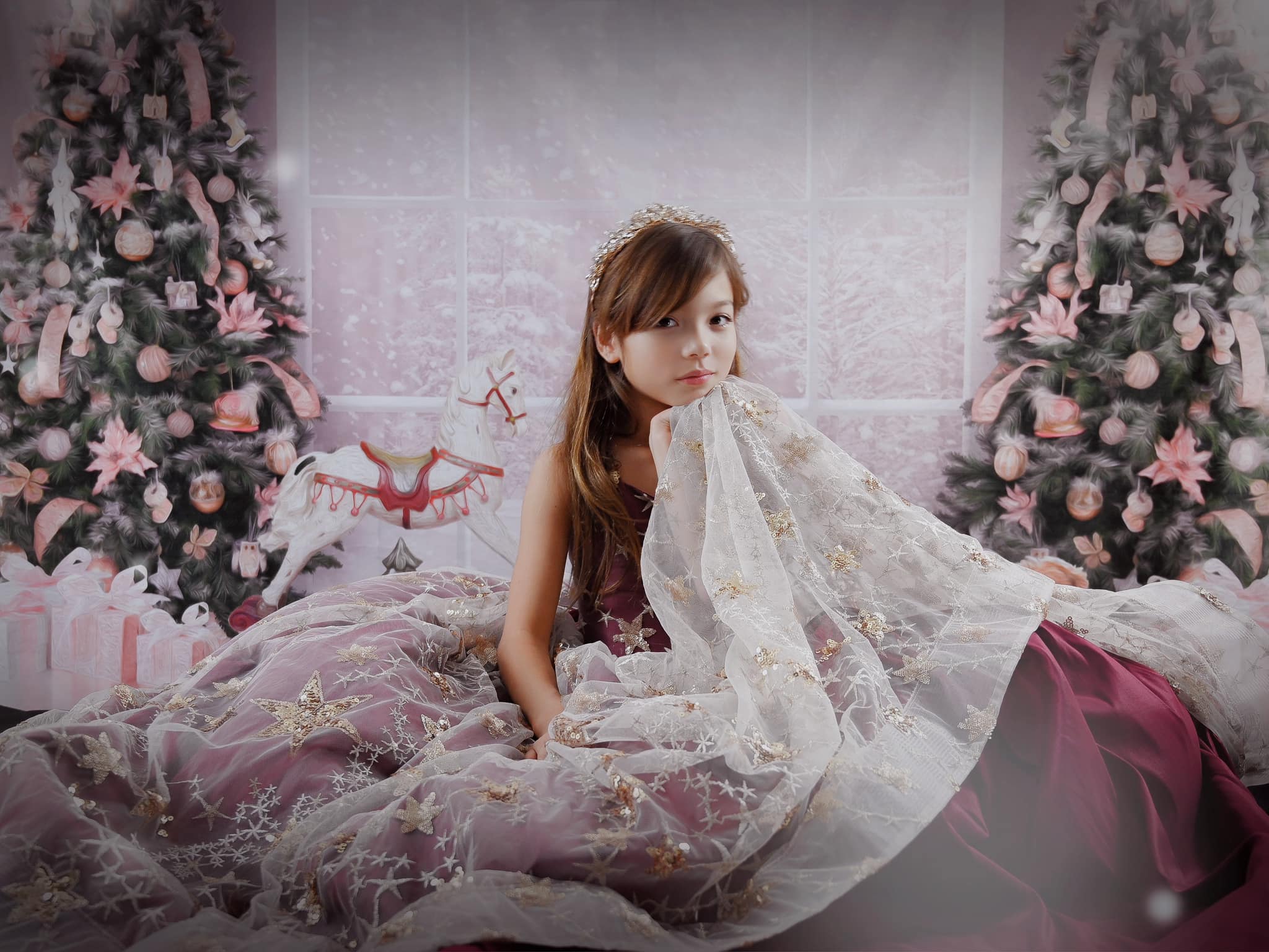 Kate Christmas Window Backdrop for Princess Girls Photography -UK