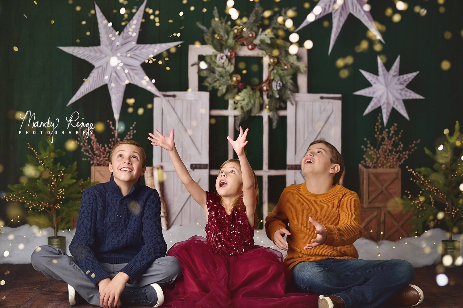 Kate Evergreen Christmas Holiday Backdrop Designed By Mandy Ringe Photography -UK