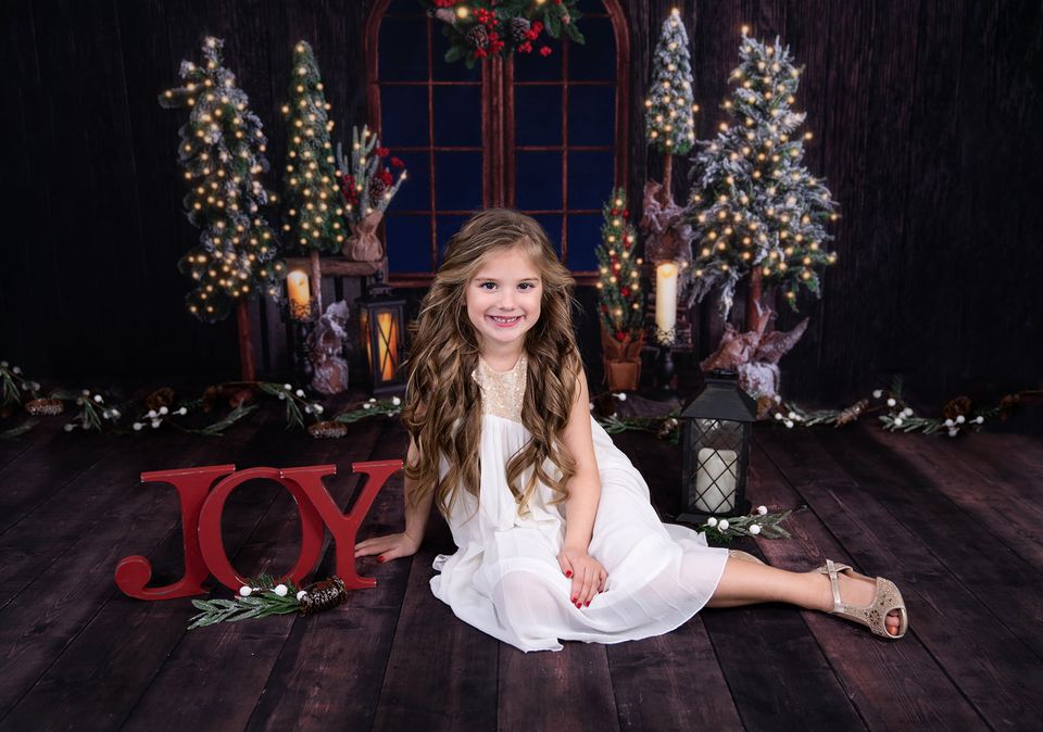 Kate Christmas Wood Room Backdrop Designed by Emetselch -UK