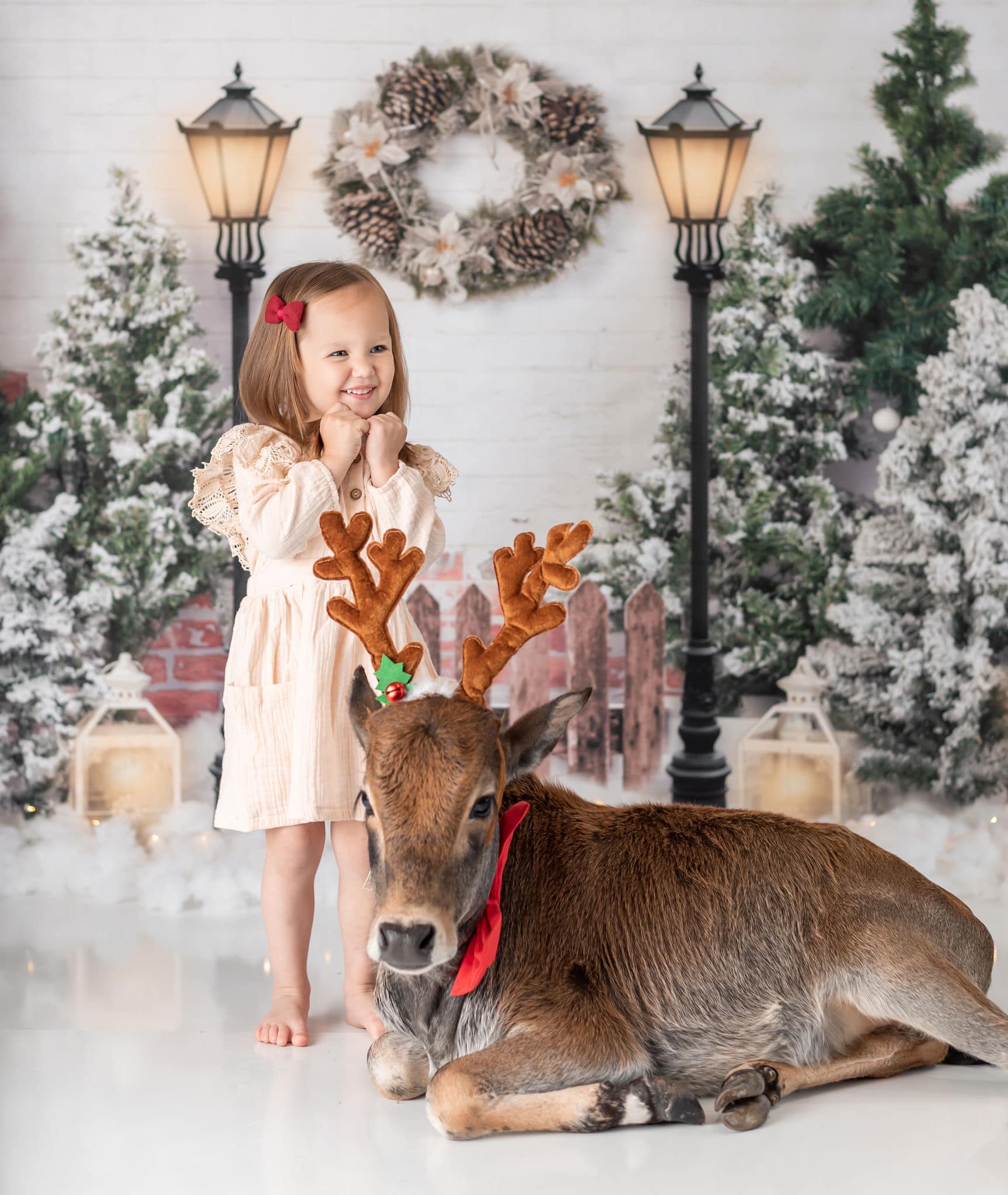 Kate Xmas Backdrop Christmas Garden with Lights Designed by Emetselch -UK