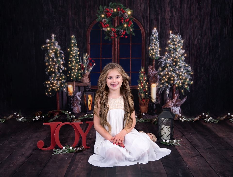 Kate Christmas Wood Room Backdrop Designed by Emetselch -UK