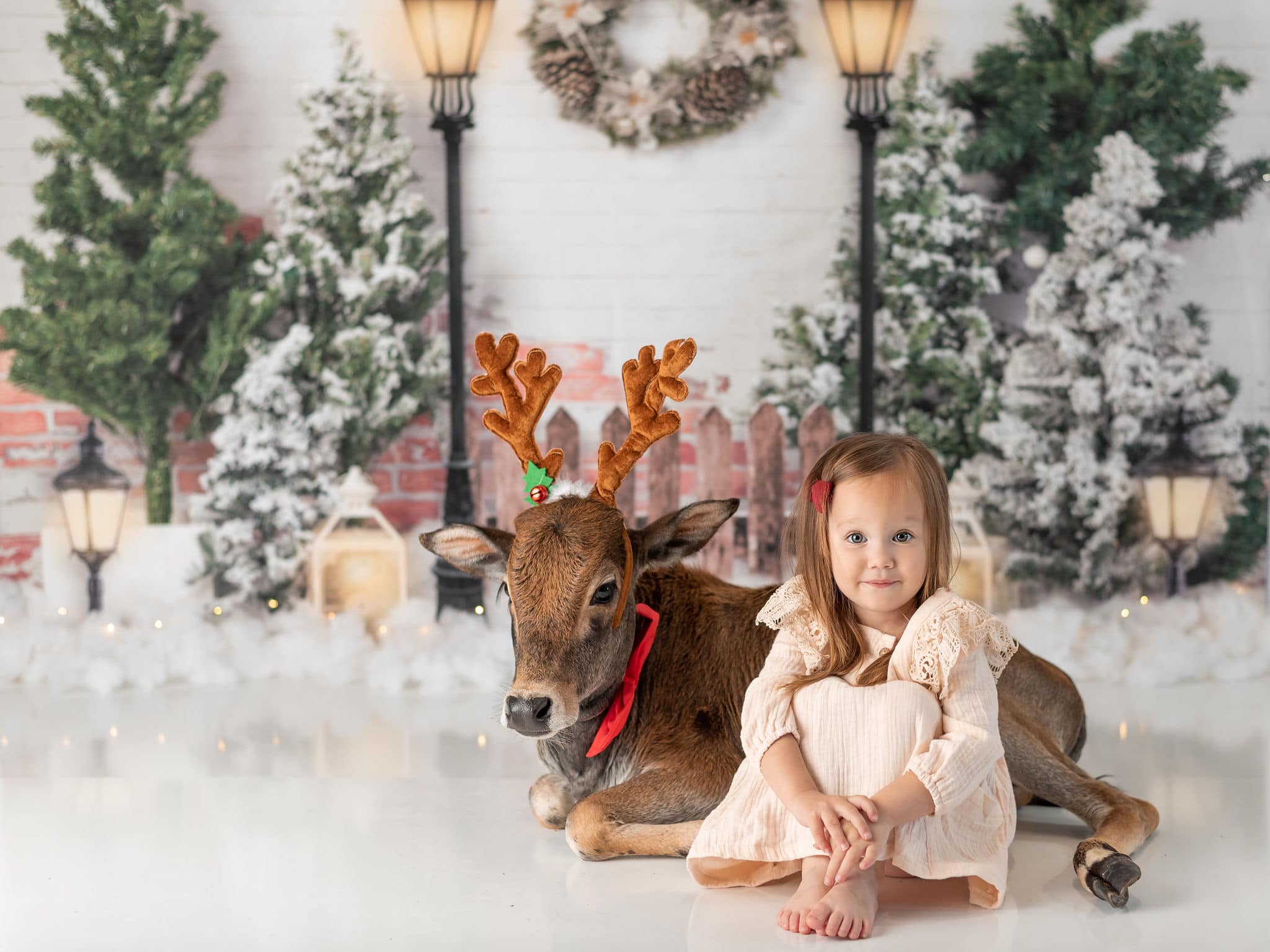 Kate Xmas Backdrop Christmas Garden with Lights Designed by Emetselch -UK