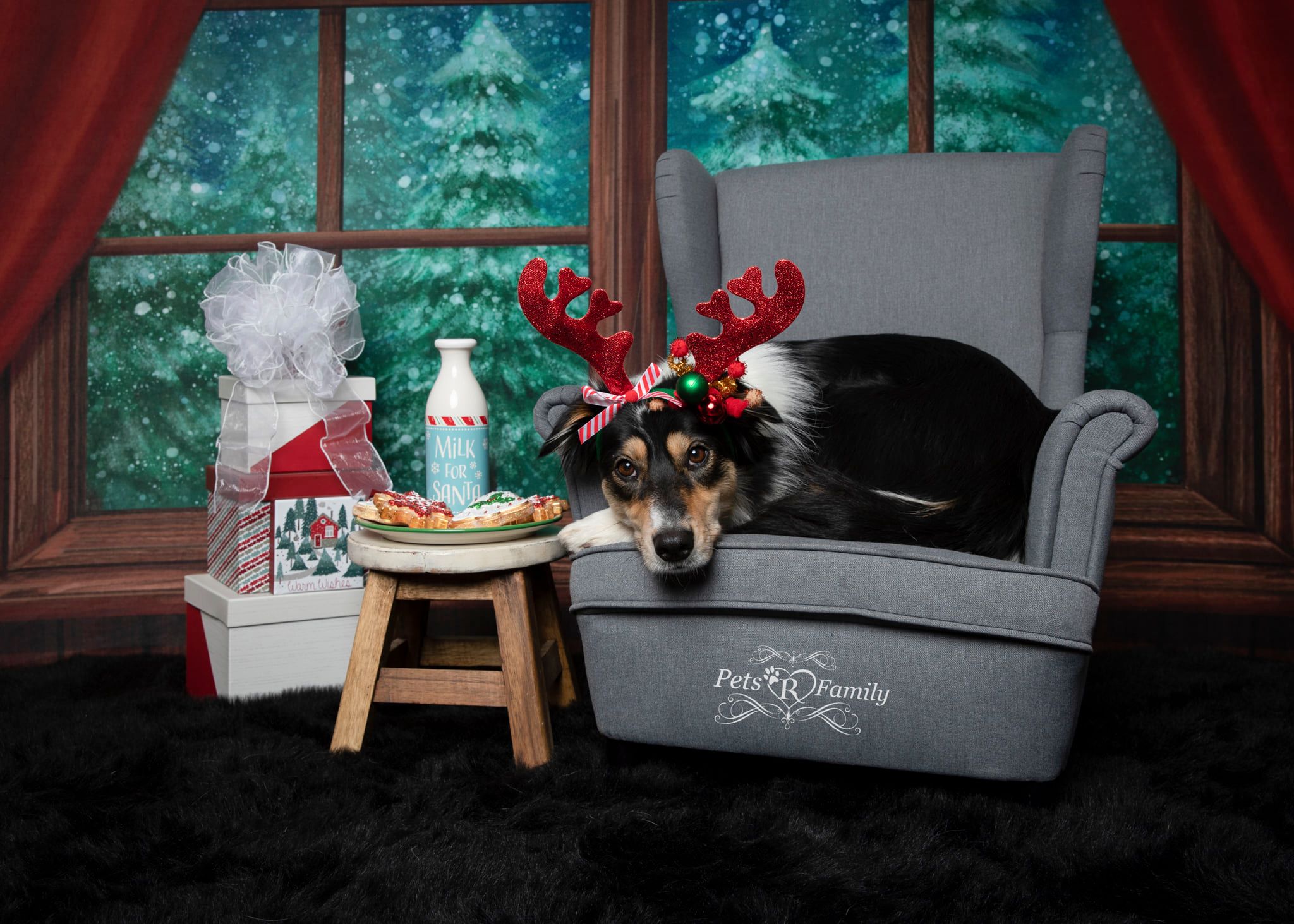 Kate Christmas Window Snow Night Backdrop Designed by Jia Chan Photography -UK